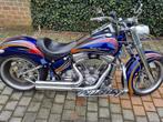 Harley Davidson Fatboy, Particulier