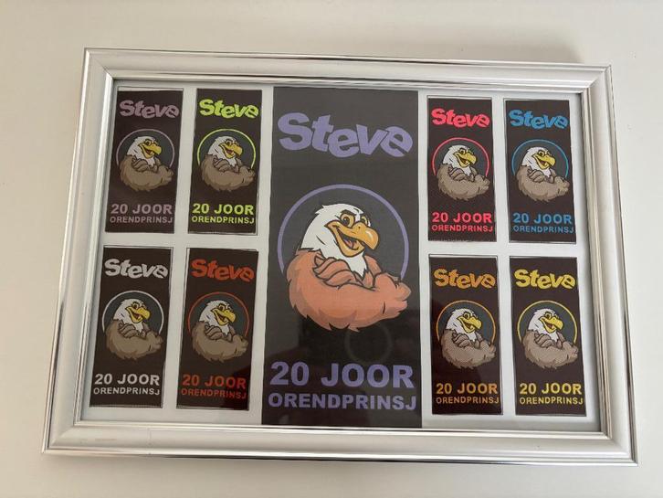 Kader met carnaval lintjes, Verzamelen, Speldjes, Pins en Buttons, Nieuw, Speldje of Pin, Ophalen