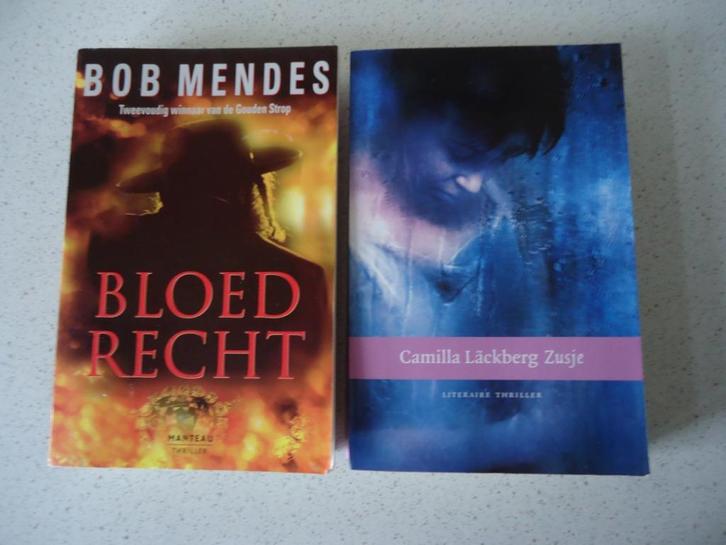 2 Thrillers van "Bob Mendez & Camilla Lackberg", Boeken, Thrillers, Zo goed als nieuw, Ophalen of Verzenden