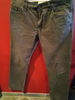 Pantalon Esprit homme, Esprit, Brun, Porté, Autres tailles