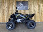 Kymco Maxxer 300, 1 cilinder, 300 cc