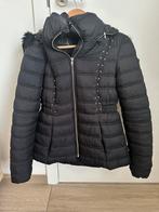 Winterjas Guess - maat Large, Kleding | Dames, Guess, Ophalen of Verzenden, Maat 42/44 (L), Zwart