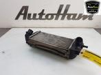 INTERCOOLER Fiat 500 (312) (01-2007/12-2012) (|51855481|), Auto-onderdelen, Gebruikt, Fiat