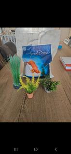 Sierstenen en decoratie aquarium, Dieren en Toebehoren, Vissen | Aquaria en Toebehoren, Ophalen of Verzenden, Zo goed als nieuw