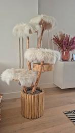 Moderne krabpaal, Enlèvement, Griffoir