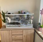 Terrarium Blue Lagoon te koop (L100 x B40 x H52), Dieren en Toebehoren, Ophalen, Zo goed als nieuw, Terrarium of Paludarium