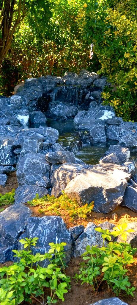 Vijver & waterval bouwer, Tuin en Terras, Vijvers, Ophalen of Verzenden