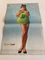 Affiche Taïna Beryl (affiche/page centrale), Enlèvement ou Envoi, Utilisé