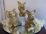 Chihuahua set van 3 beeldjes horen, zien ,zwijgen, Verzenden, Nieuw