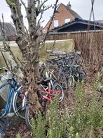 Een set van fietsen en banden., Ophalen