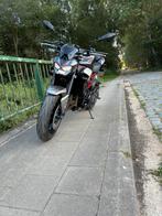 2025 kawasaki z900, Motos, Motos | Kawasaki, Entreprise, Naked bike, 900 cm³, 12 à 35 kW