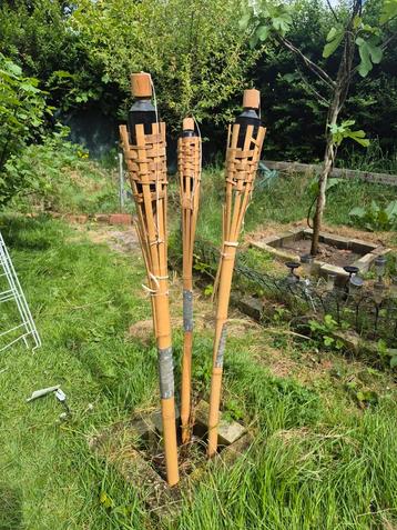 Fakkels in de tuin  beschikbaar voor biedingen