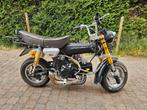 Motordax 125cc, Motoren, Motoren | Honda, Particulier