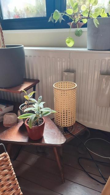 Rotan style bijzetlampje / sfeer lamp beschikbaar voor biedingen