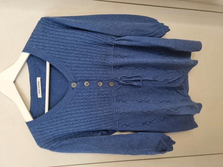 Blauwe gilet Bruno Antognini maat M, Kleding | Dames, Truien en Vesten, Zo goed als nieuw, Maat 38/40 (M), Blauw, Ophalen of Verzenden