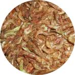 Koivoer | Garnalen groot | 12,8 liter (2140gr), Tuin en Terras, Ophalen of Verzenden, Nieuw