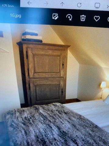 Antieke, eiken geschilderde kast beschikbaar voor biedingen