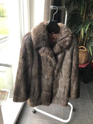 Veste en fourrure ragondin marron - taille 44 beschikbaar voor biedingen