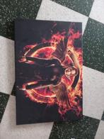 Canvas kader met katniss everdeen uit the hunger games, Ophalen of Verzenden