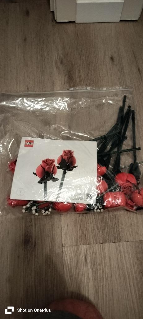 Lego Botanicals, Kinderen en Baby's, Speelgoed | Duplo en Lego, Zo goed als nieuw, Lego, Complete set, Ophalen