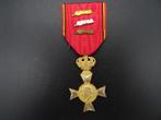 Médaille Albert I pour anciens combattants, Autres, Enlèvement ou Envoi, Ruban, Médaille ou Ailes