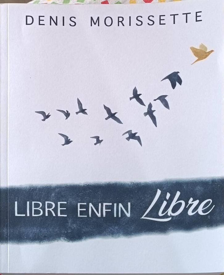 Libre, enfin libre : D. Morissette : GRAND FORMAT, Boeken, Esoterie en Spiritualiteit, Gelezen, Achtergrond en Informatie, Meditatie of Yoga