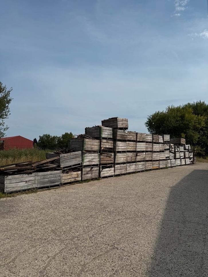 eikenhout van kapotte paloxen - met nagels - gratis. !!!, Tuin en Terras, Brandhout, Blokken, Eikenhout, 6 m³ of meer, Ophalen