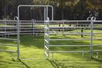 Texas panelen, Vangkooi, Box, Longeercirkel, Omheining, Dieren en Toebehoren, Stalling en Weidegang, Weidegang, 4 paarden of pony's of meer