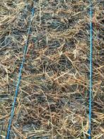 petits ballots de foin, Animaux & Accessoires, Nourriture pour Animaux, Enlèvement