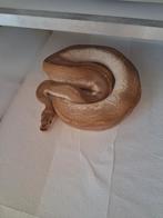 Lesser blade clown 1.0, Serpent, 3 à 6 ans