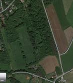 Weide te Koop Halle, Dieren en Toebehoren, Weidegang, 4 paarden of pony's of meer