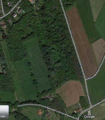Weide te Koop Halle, Élevage, 4 chevaux ou poneys ou plus