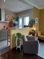 Charmant, ruim appartement, Immo, Huizen en Appartementen te koop, Antwerpen, Antwerpen (stad), 2 kamers, Verkoop zonder makelaar