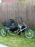 Electrische Duofiets PF mobility side by side te koop, Fietsen en Brommers, Fietsen | Driewielfietsen, Ophalen of Verzenden, Gebruikt