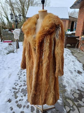 Vossenjas beschikbaar voor biedingen