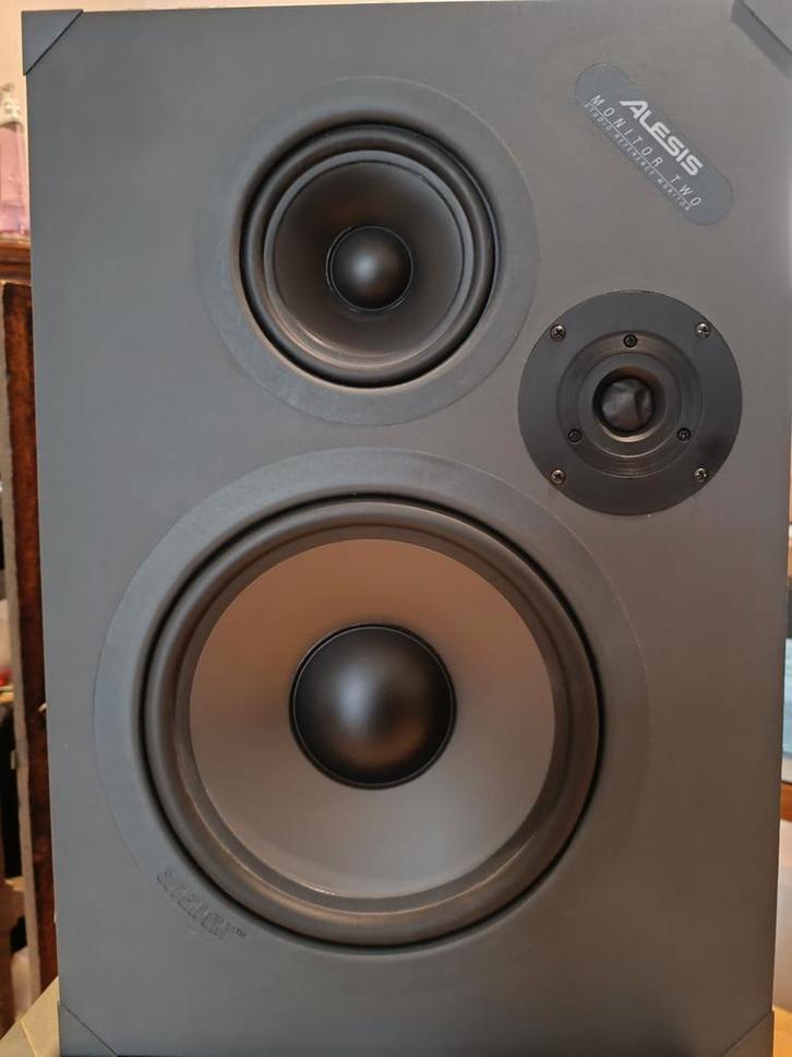Alesis Monitor Twee, Audio, Tv en Foto, Luidsprekerboxen, Ophalen