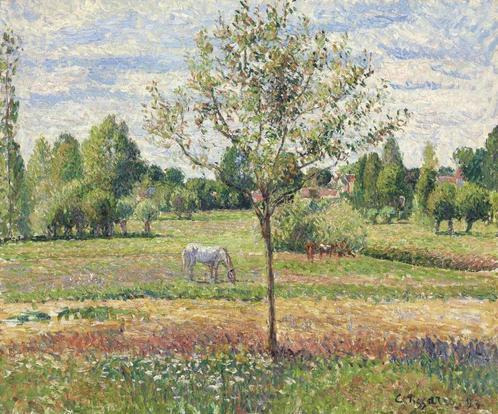 Cherche prairie à louer/vendre (Modave), Dieren en Toebehoren, Stalling en Weidegang