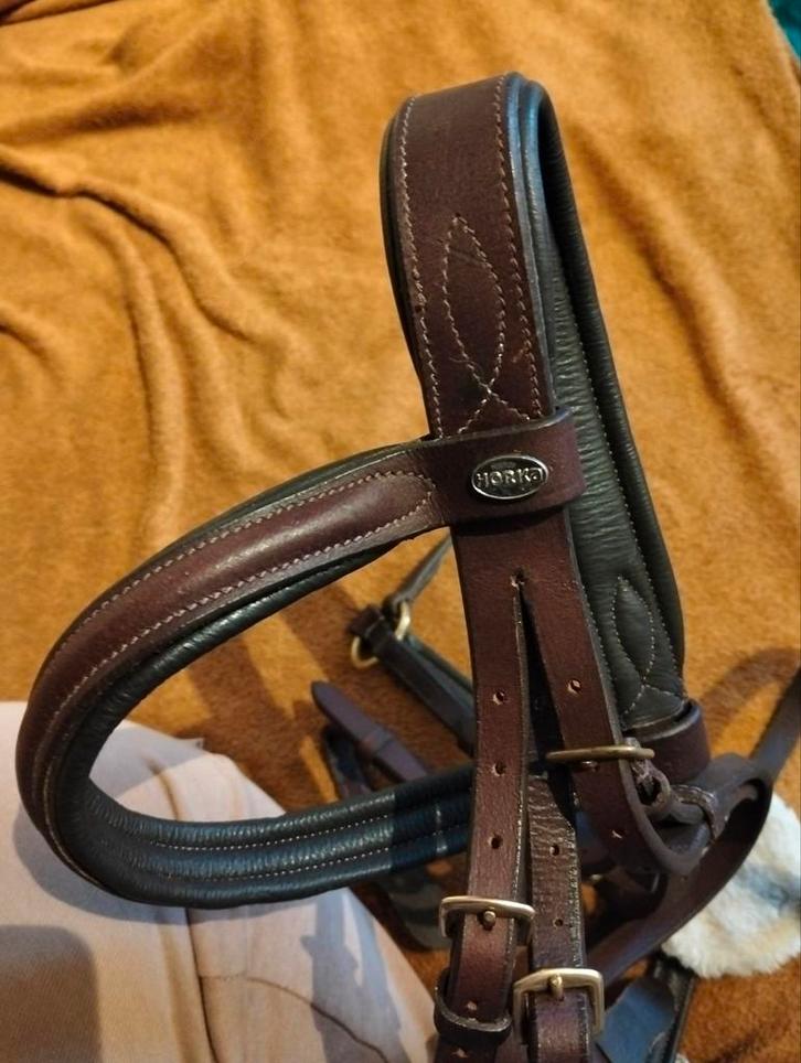 Bruin Mexicaans hoofdstel cob met teugels, Dieren en Toebehoren, Paarden en Pony's | Hoofdstellen en Tuigage, Zo goed als nieuw