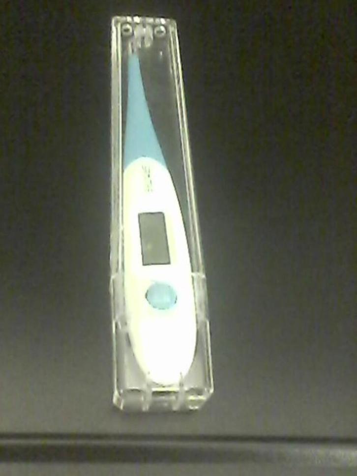 thermomètre digital, Huis en Inrichting, Woonaccessoires | Thermometers, Zo goed als nieuw, Ophalen