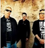 3/11 Ing arena :OFFSPRINGS + Simple Plan 2 tickets, Tickets en Kaartjes, Concerten | Rock en Metal