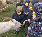 🎉 Anniversaire inoubliable avec rapaces et animaux 🦅, Ophalen, Nieuw