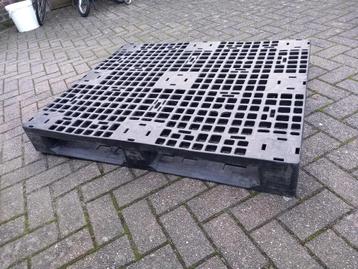Pallets te koop (Kunststof & Plastic) beschikbaar voor biedingen