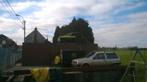 Volkswagen polo, Auto's, Particulier, Te koop, Volkswagen