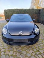 Volkswagen Beetle 1.2 TSI BMT (bj 2016), Auto's, Voorwielaandrijving, Gebruikt, Zwart, Bedrijf