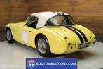 Austin-healey 3000 MK1 Race Car |Route 66 Auction, Overige merken, Stof, Overige kleuren, Bedrijf