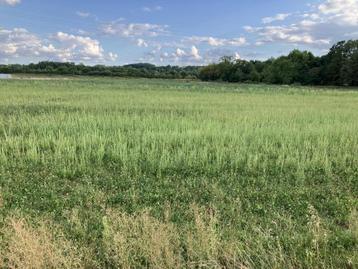 Landbouwgrond beschikbaar voor biedingen