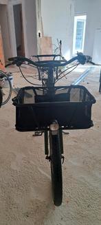 Yuba Mundo, Enlèvement, Électrique