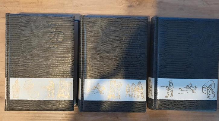 Verzameld werk Filip De Pillecyn, Boeken, Romans, Gelezen, België, Ophalen of Verzenden