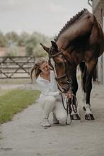 Weidemaatje Layla, Dieren en Toebehoren, Merrie, 175 cm of meer, Gechipt, Niet van toepassing