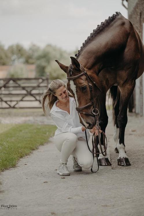 Weidemaatje Layla, Dieren en Toebehoren, Paarden, Merrie, Niet van toepassing, 175 cm of meer, 11 jaar of ouder, Met stamboom